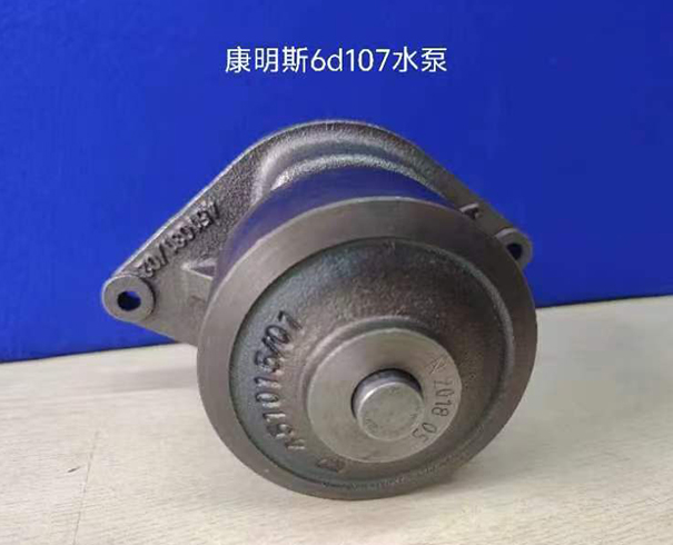 水泵 6D107