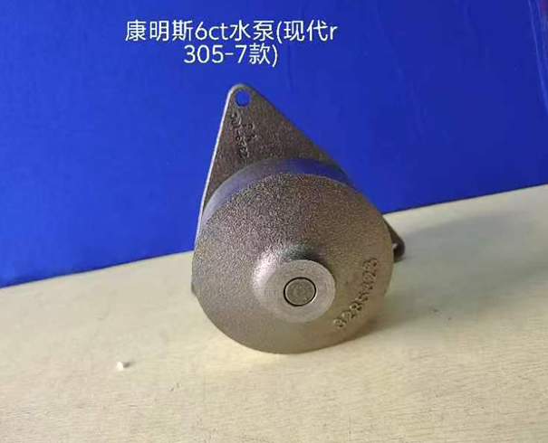 水泵 R305